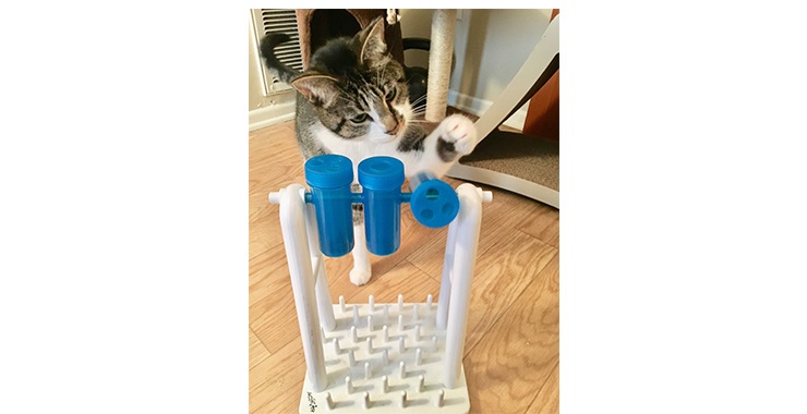 How to Make Your Own Kitty Enrichment Feeders and Toys