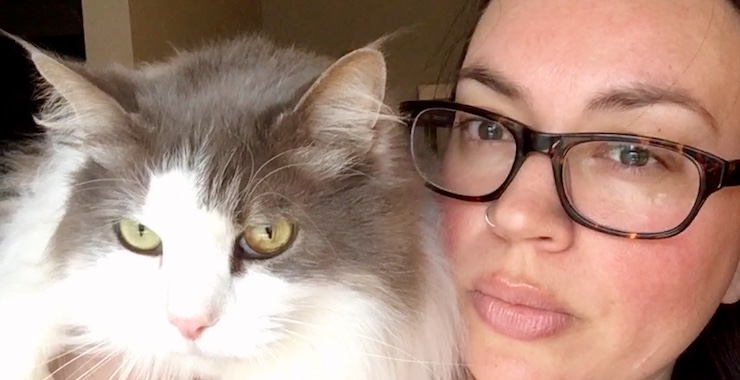 How Cat Sitting Changed My Life