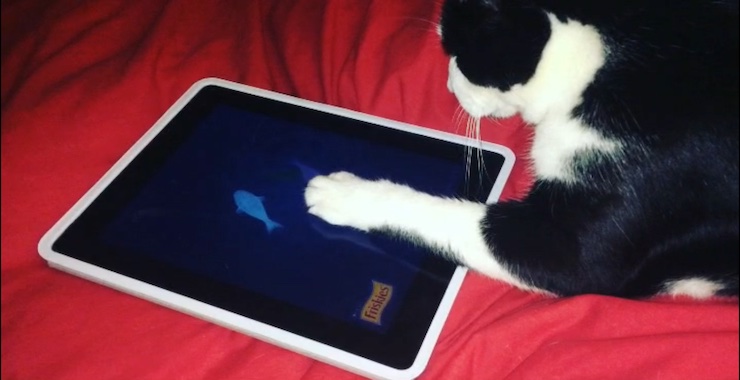 Top-Rated Cat Apps and Websites for a Pawsitively Good Time!