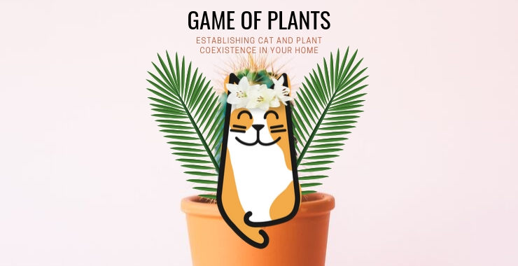 House Plants and Cats: Top Ten Toxic Plants