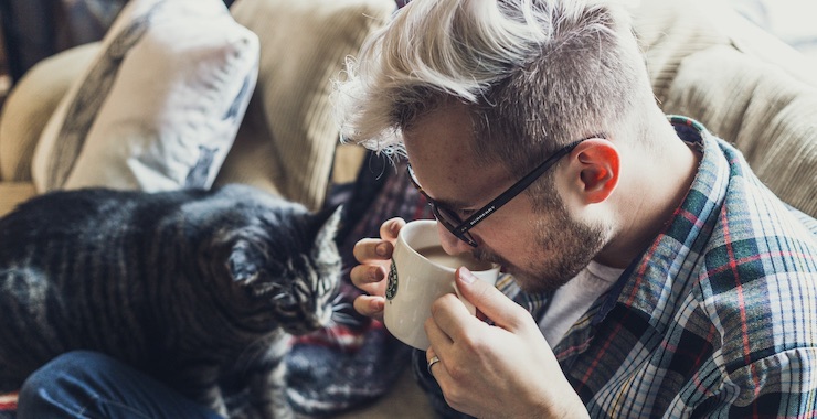 How to Spend Quality Time with Your Cat When You’re Home