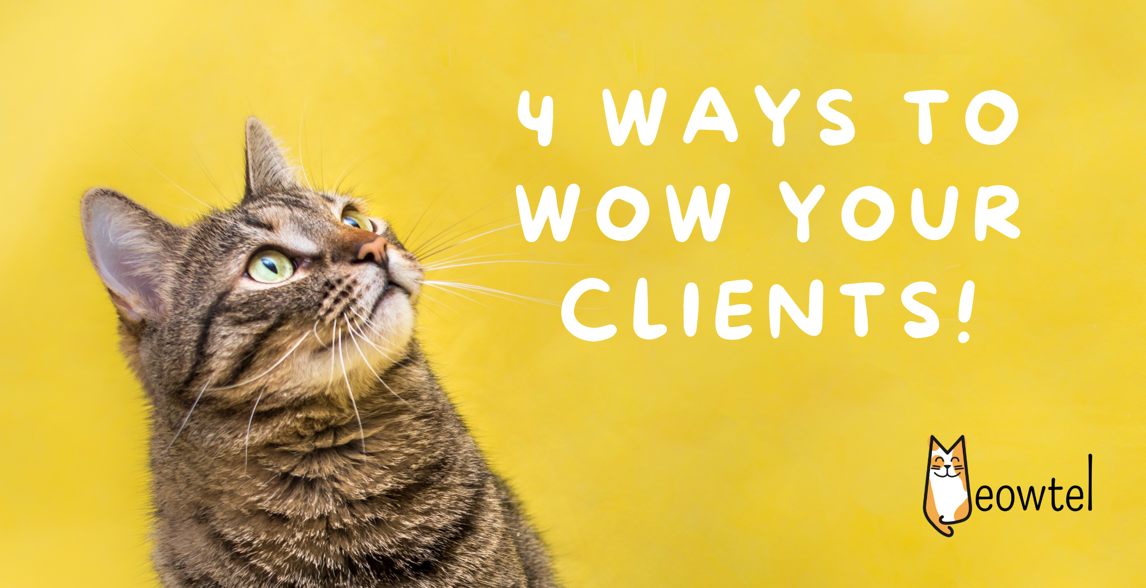 4 Ways to Wow Your Clients: How To Meet and Exceed Client Expectations