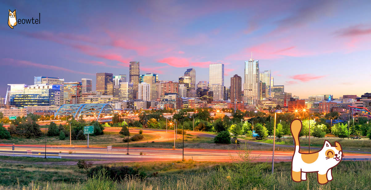 Denver: The Meowtel Guide to Cat Sitting in the Mile High City