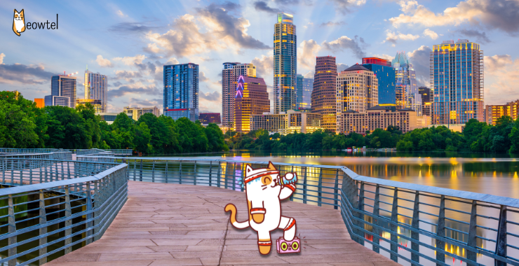 10 Tips for Thriving as a Meowtel Cat Sitter in Austin