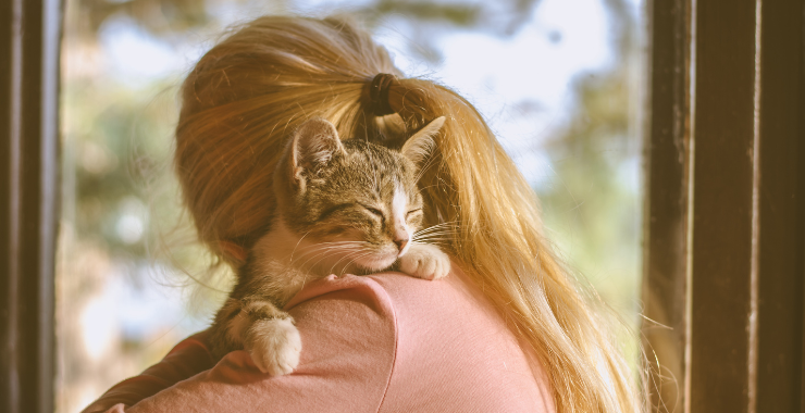 9 Ways to Help your Cat with Separation Anxiety and Depression