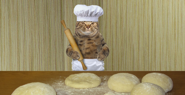 Why Do Cats Knead? 5 Reasons Cats Make Biscuits