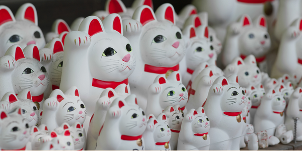 5 Tips for Cat Lovers Exploring Japan