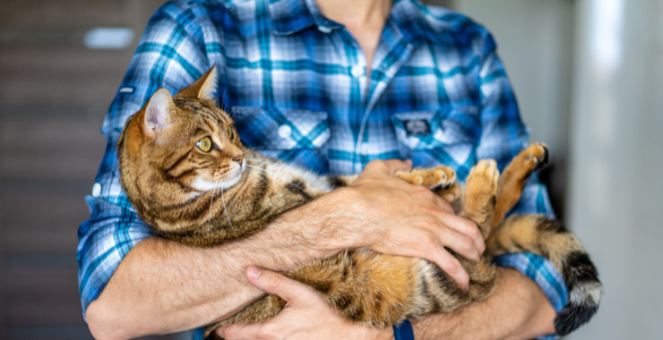 5 Ways to Help Your Cat Live a Long and Healthy Life