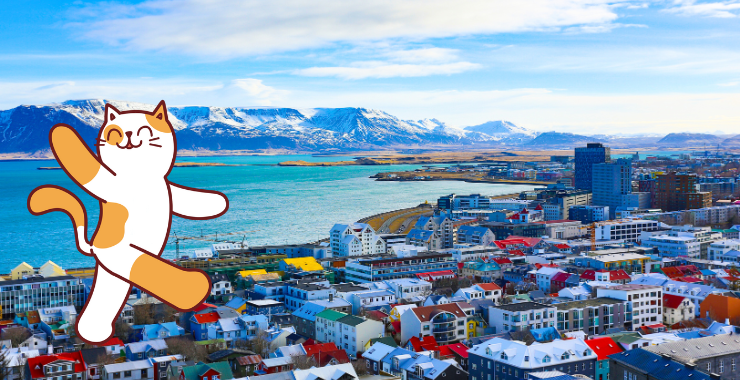 The Cat Lover’s Guide to Iceland 