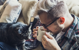 How to Spend Quality Time with Your Cat When You’re Home