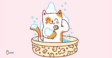 How and Why You Need to Give Your Cat a Bath