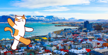 The Cat Lover’s Guide to Iceland 