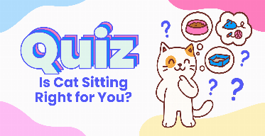 Is Cat Sitting Right for You? Take our Quiz!