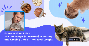 The Challenges (& Rewards) of Getting and Keeping Cats at Their Ideal Weight