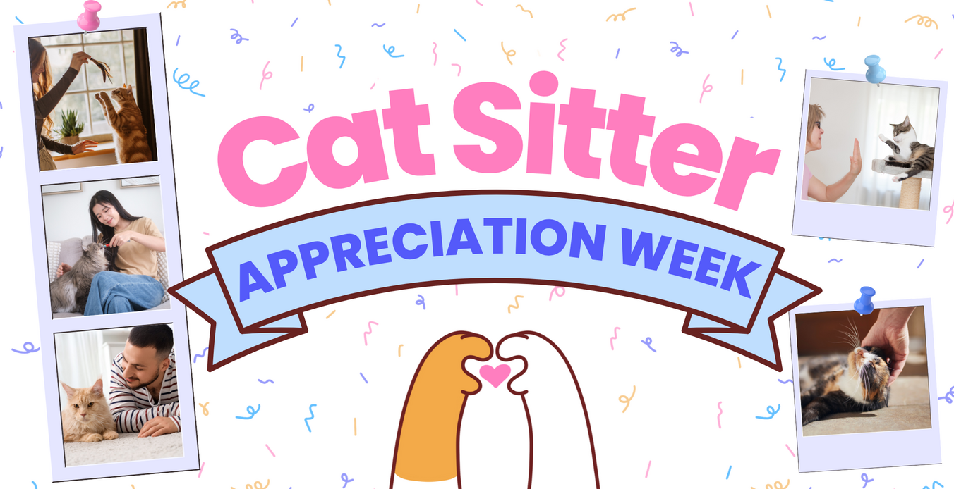 😻 Introducing Cat Sitter Appreciation Week at Meowtel