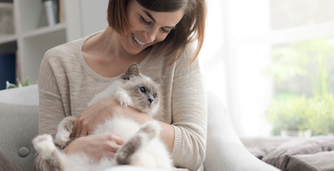 Talking to your cat: Crazy or Constructive?