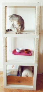 Cat Tree DIY