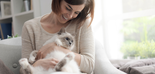Talking to your cat: Crazy or Constructive?