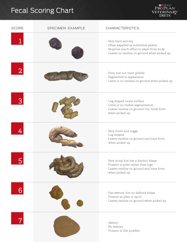 Fecal Score Chart