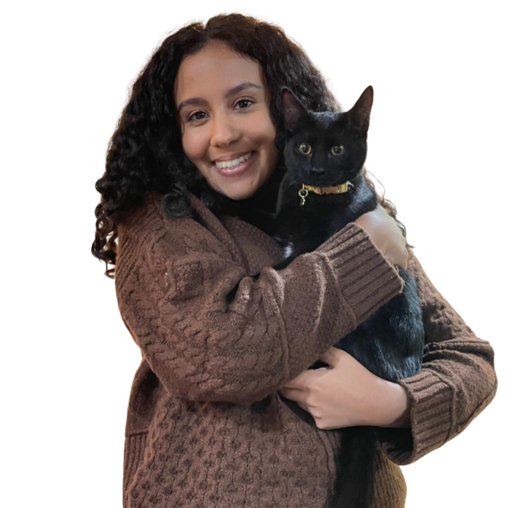 Person holding a cat