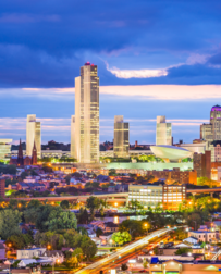 Cat Sitters in Albany, NY