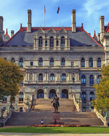 Cat Sitters in Albany, NY