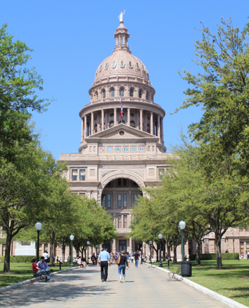 Cat Sitters in Austin, TX