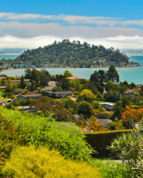 Cat Sitters in Belvedere Tiburon, CA