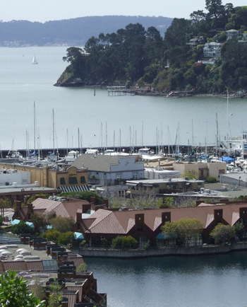 Cat Sitters in Belvedere Tiburon, CA