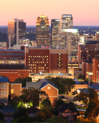 Cat Sitters in Birmingham, AL