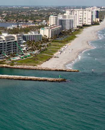 Cat Sitters in Boca Raton, FL