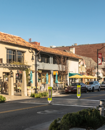 Cat Sitters in Burlingame, CA