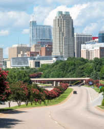 Cat Sitters in Charlotte, NC