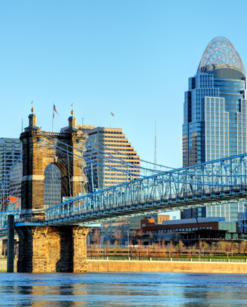 Cat Sitters in Cincinnati, OH