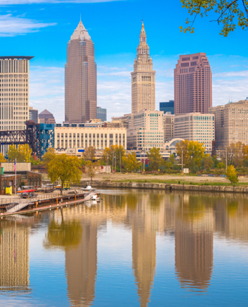 Cat Sitters in Cleveland, OH