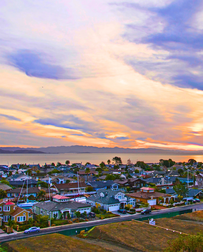 Cat Sitters in Corte Madera, CA