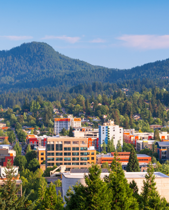 Cat Sitters in Eugene, OR