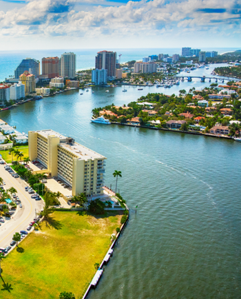 Cat Sitters in Fort Lauderdale, FL
