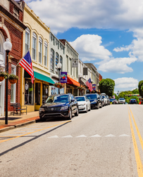 Cat Sitters in Fort Mill, SC