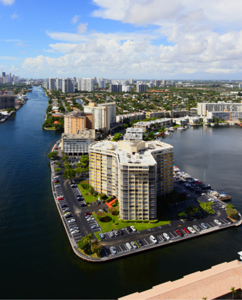Cat Sitters in Hallandale, FL
