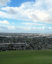 Cat Sitters in Hayward, CA