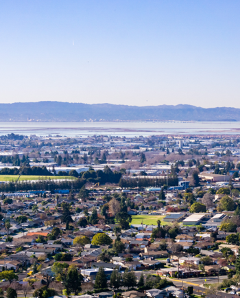 Cat Sitters in Hayward, CA