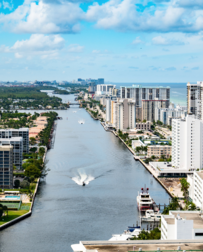 Cat Sitters in Hollywood, FL