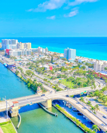Cat Sitters in Hollywood, FL