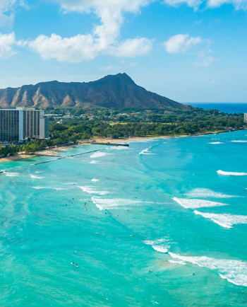 Cat Sitters in Hawaii