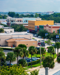 Cat Sitters in Kissimmee, FL