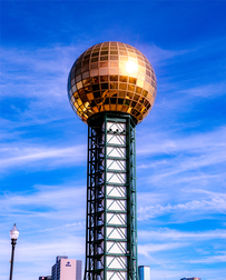 Cat Sitters in Knoxville, TN