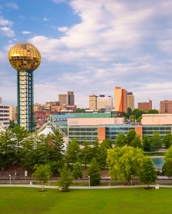 Cat Sitters in Knoxville, TN