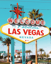 Cat Sitters in Las Vegas, NV