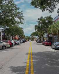 Cat Sitters in Melbourne, FL